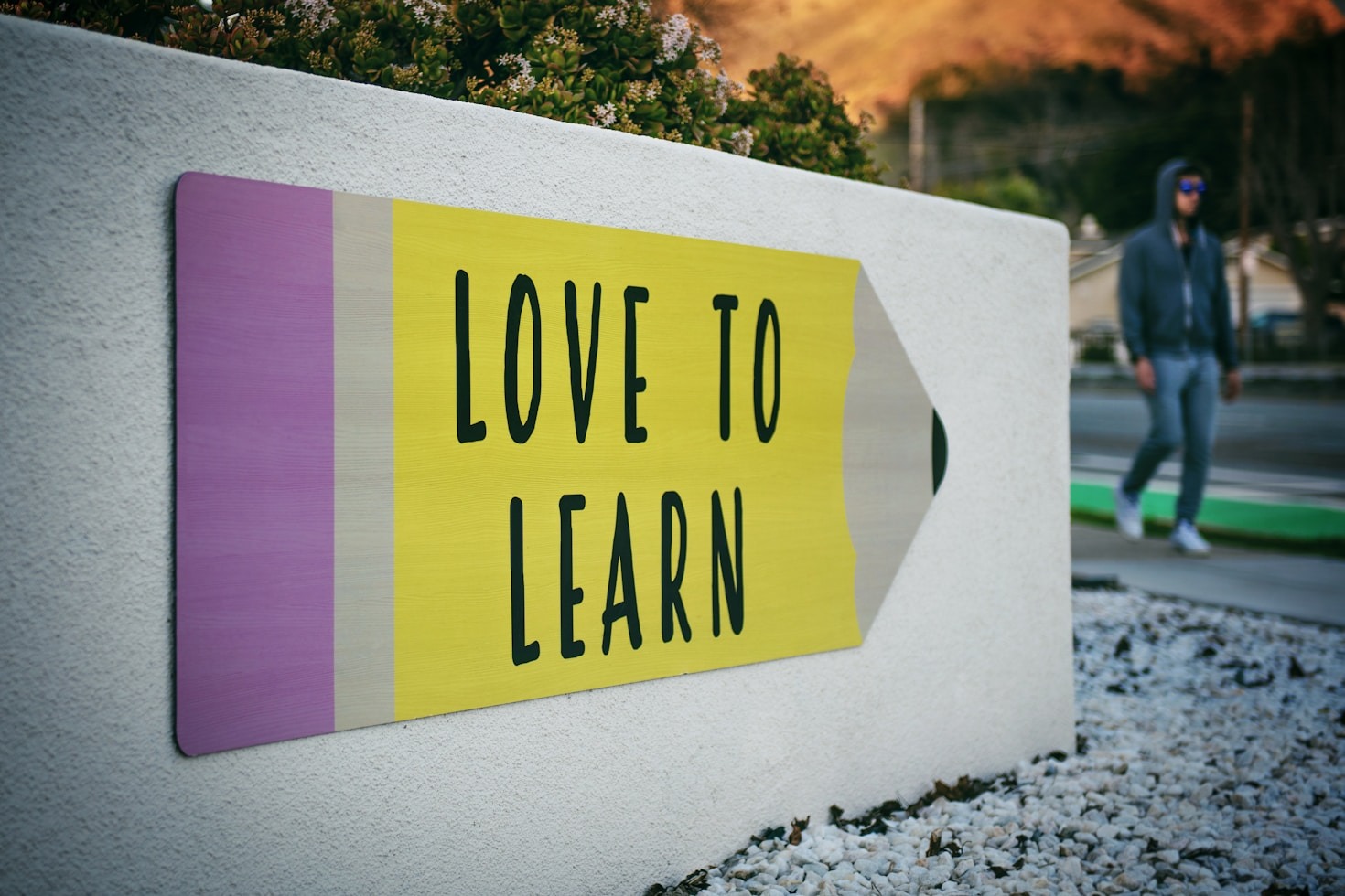 Cómo elegir el curso ideal para ti